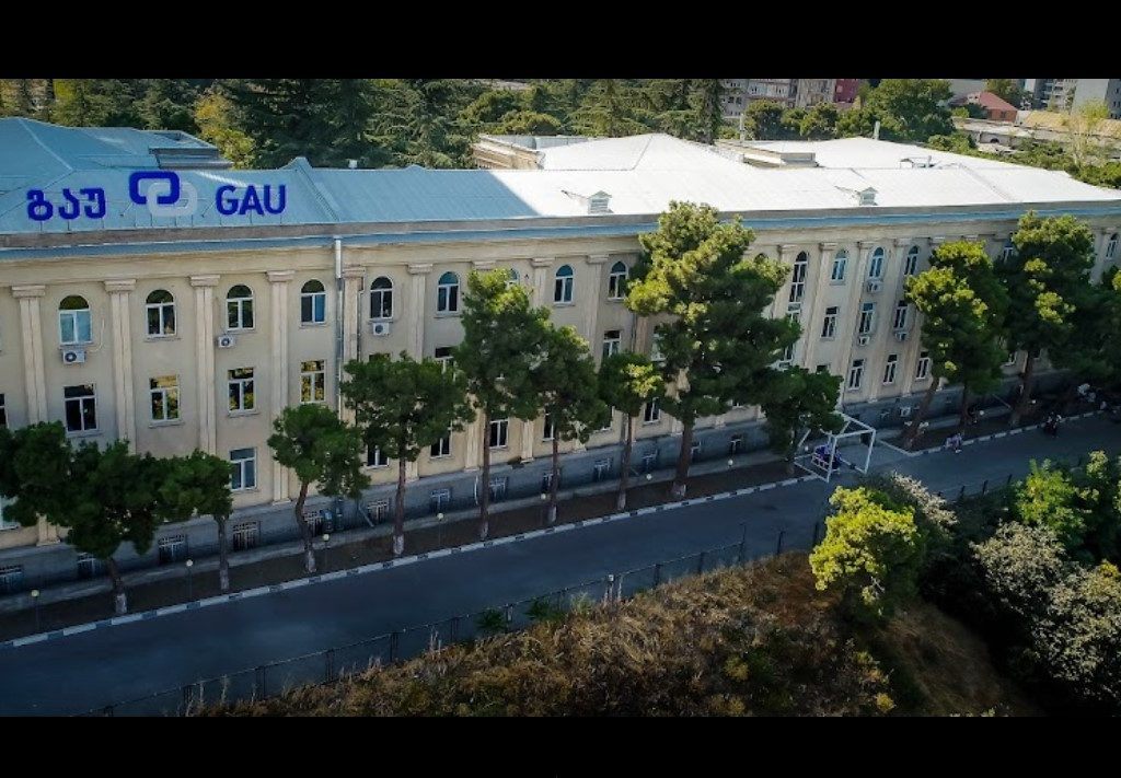 Georgian American University